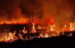 Incêndios no Pantanal: governo federal reconhece situação de emergência