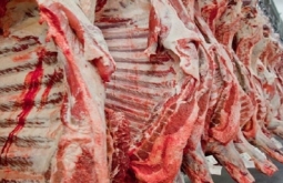 China vai comprar carne de mais cinco frigoríficos de MS