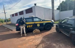 Motorista é preso com cocaína avaliada em R$ 2 milhões