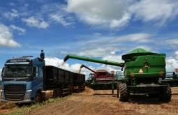 Alcinópolis se destaca nas suas atividades econômica, “Agricultura e Pecuár