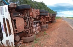 Carreta carregada com gado tomba na MS-134