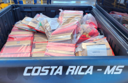 Polícia Civil Incinera 274 kg de Maconha Apreendida em Ação Integrada