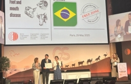 “Nossa carne é a melhor do mundo”, celebra Paulo Corrêa na Assembleia Geral da OMSA, em Paris