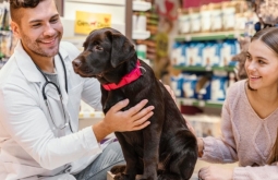 Com mudança na lei, animais podem deixar de ser tratados como ‘coisas’ no Brasil; entenda