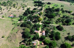 Colônia do Ariranha: o retrato do abandono de um povoado que já teve quase mil moradores