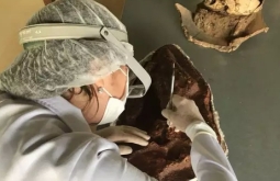 MS terá pesquisa sobre proteção de sítios arqueológicos das mudanças climáticas