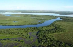 Decreto define regras para corredores ecológicos em propriedades rurais de MS