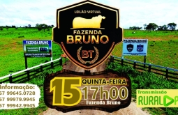 Esporte e negócios: Circuito Norte de Laço 2026 começa esta semana, em Figueirão