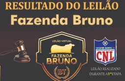 Leilão da Fazenda Bruno movimenta a abertura do Circuito Norte de Laço em Figueirão