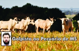 Suspeito de aplicar golpe milionário em pecuaristas de MS vira alvo da polícia