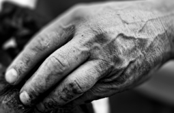 Governo lança Plano Estadual de Erradicação do Trabalho Escravo em MS