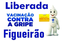 Vacina contra a gripe está liberada para toda a população acima de 06 meses, em Figueirão