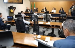 Eucalipto ameaça água, abelhas e até plantação de alface, alertam especialistas