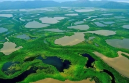Nova área protegida, ampliação de conservação e proteção: entenda os decretos assinados por L