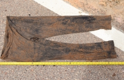 Ossada humana é encontrada às margens da BR-359, entre Coxim e Alcinópolis