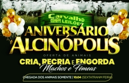 PECUARISTAS: Leilão Aniversário de Alcinópolis – Cria, Recria e Engorda
