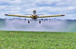 Iagro autoriza comercialização de novos agrotóxicos em MS
