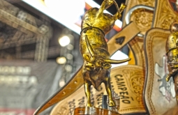 Confira os campeões nacionais e regionais da Ekip Rozeta, no rodeio de Alcinópolis