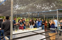 Viveiro com capacidade para mais de 30 mil mudas nativas é inaugurado