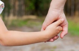 Figueirão prepara lançamento do Programa Família Acolhedora