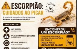Prefeitura de Figueirão alerta população sobre risco de acidentes com escorpiões