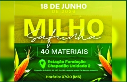 Dia de Campo Milho Safrinha da Fundação Chapadão apontará os desafios da cultura neste ano