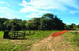 Prefeitura intensifica recuperação de estradas rurais para melhorar acesso e transporte no campo
