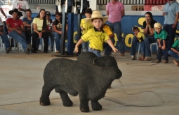 Categoria Vaca Parada emociona famílias durante o 20º Encontro Estadual do Laço Comprido