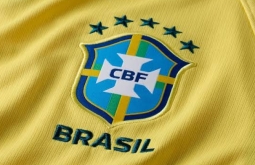 Eliminados, mas milionários: veja quanto cada jogador da Seleção pode receber após a Copa