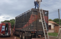 Homem morre após levar choque e cair de caminhão na zona rural de Alcinó