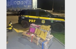 PRF apreende quase meia tonelada de maconha escondida em carga de caminhão na BR-060, em Camapuã