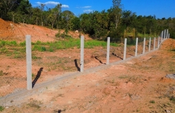Rodovia MS-436 recebe corredor ecológico para proteção da fauna