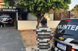 Foragido por violência doméstica é preso pela Polícia Civil durante Operação Capturas em Alcin