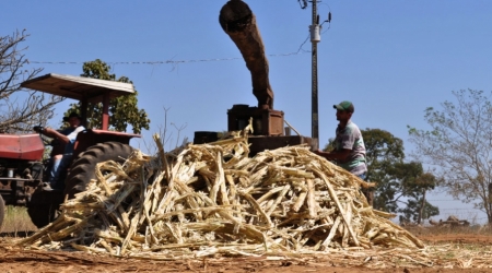 Produção de 