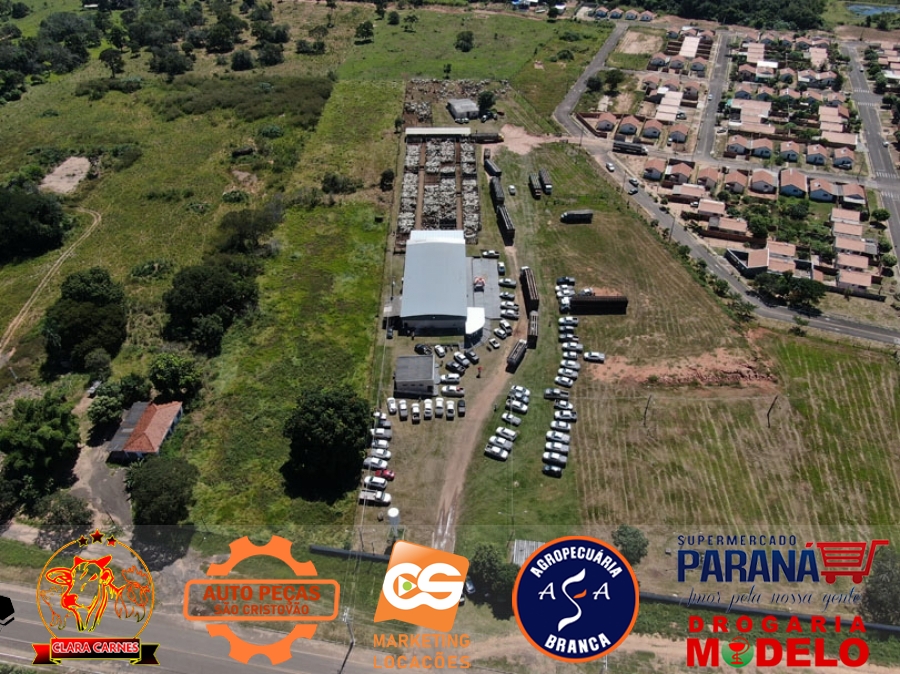 Leilão no Sindicato Rural - Leiloeira Daniel Carvalho.