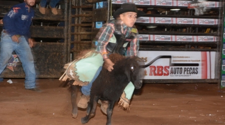 Final do rodeio em carneiros