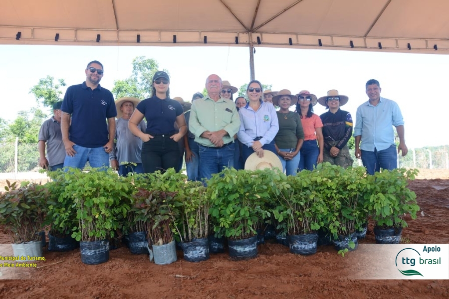Ação Dia Internacional das Florestas