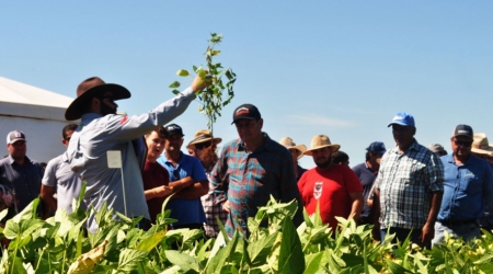 1º Dia de Campo 