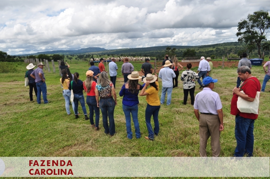 Dia de Campo do PRS – CERRADO