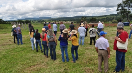 Dia de Campo do PRS – CERRADO