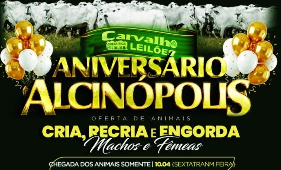 {[ tag:slider[].source ]}