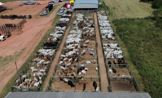 {[ tag:slider[].source ]}