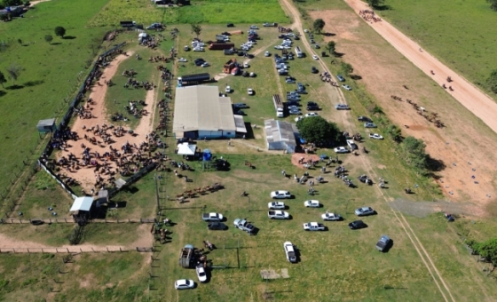 {[ tag:slider[].source ]}